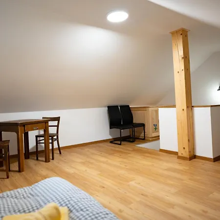 Pr Stepiherju Apartman Luče