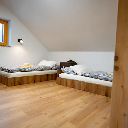 Pr Stepiherju アパート Luče