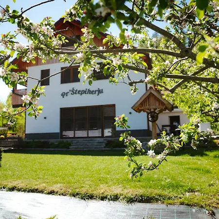 Apartment Pr Stepiherju *